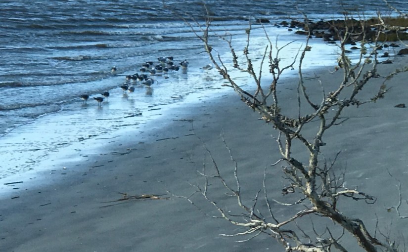 Some days digging deep means you just scratch the&nbsp;surface.