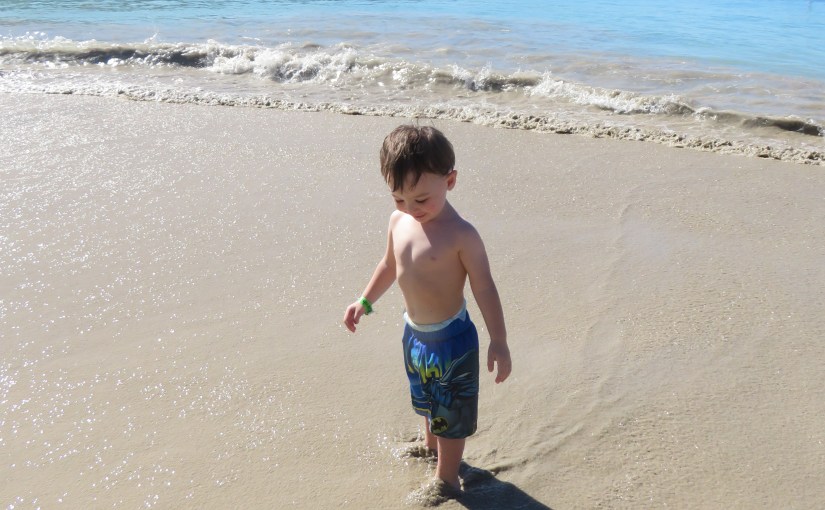 A jounal, a blog, a destiny&nbsp;unknown.